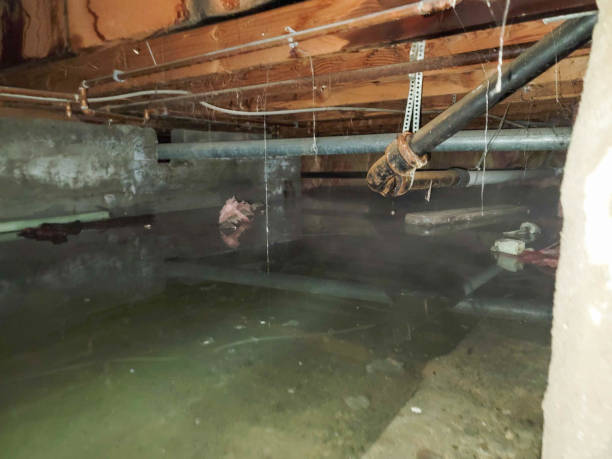 Best Sewage cleanup and water damage restoration  in Lantana, FL