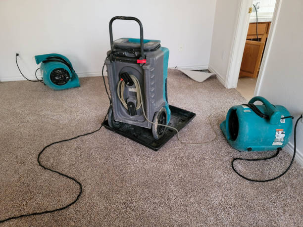 Best Professional water damage repair  in Lantana, FL