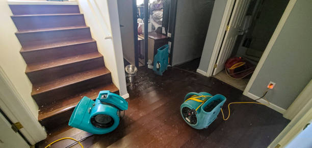  Lantana, FL Water damage restoration Pros