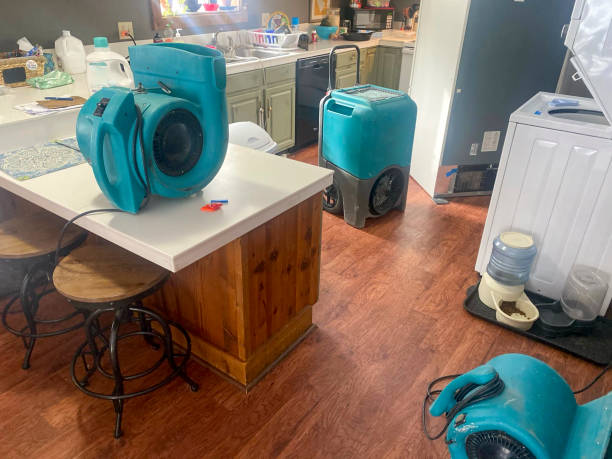 Best Water damage restoration services  in Lantana, FL