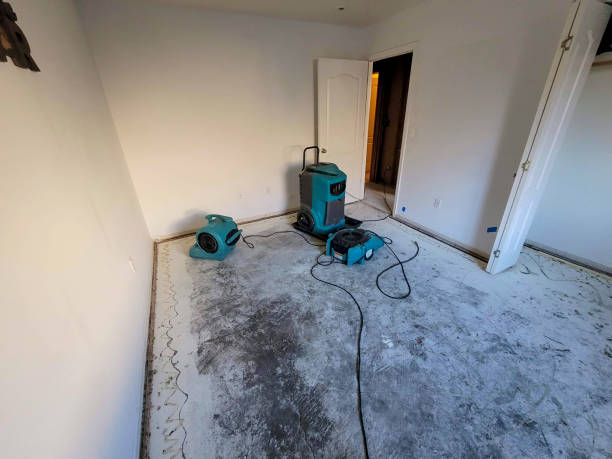 Best Emergency water damage restoration  in Lantana, FL