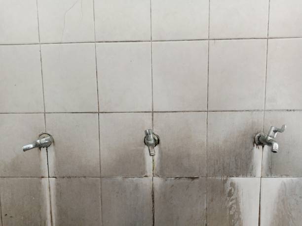 Best Basement water damage restoration  in Lantana, FL