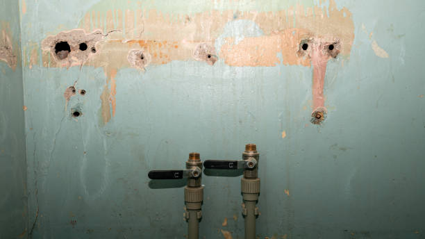 Best Sewage cleanup and water damage restoration  in Lantana, FL