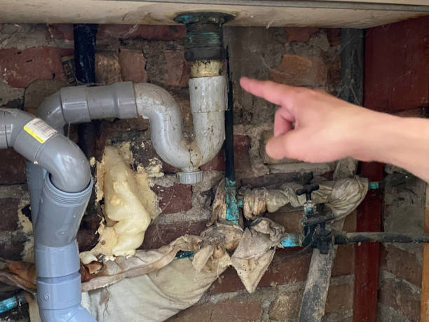 Best Flood damage cleanup  in Lantana, FL