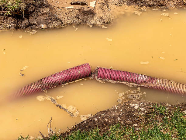 Best Water damage restoration near me  in Lantana, FL