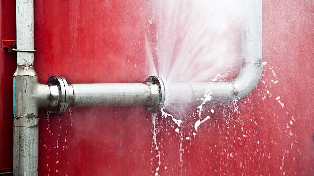 Best Ceiling water damage repair  in Lantana, FL
