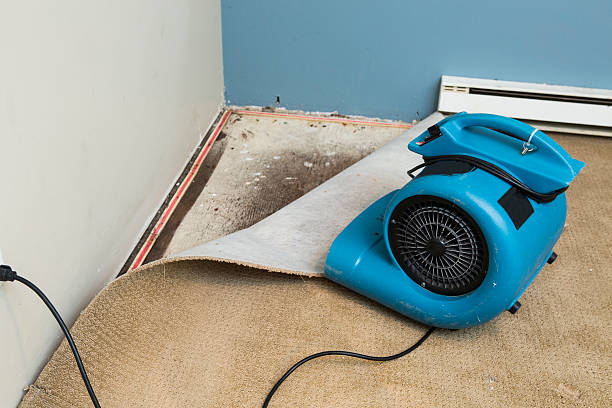 Best 24/7 water damage repair  in Lantana, FL